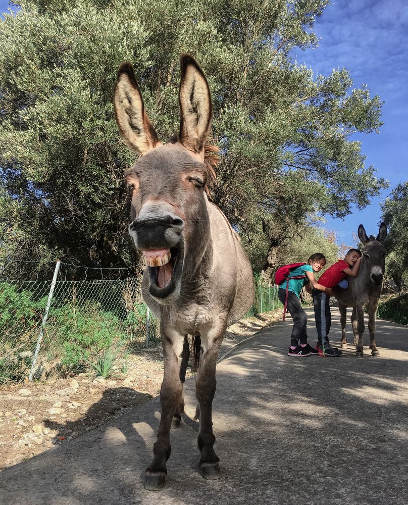 Photograph by Ana Gonzalez