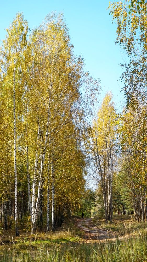 Photograph by Andreas Koff