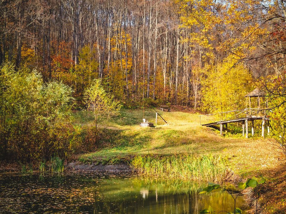 Photograph by Елена Квасова