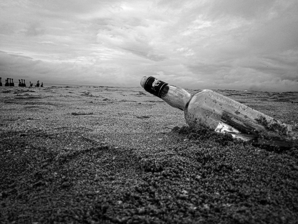 Фотография автора Shibnu