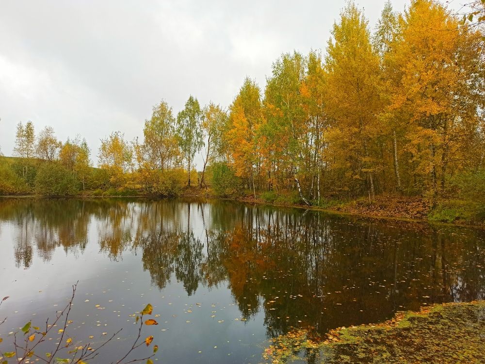 Photograph by Борис Каширин