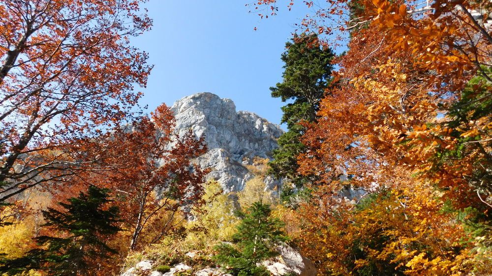 Photograph by павел мочалов