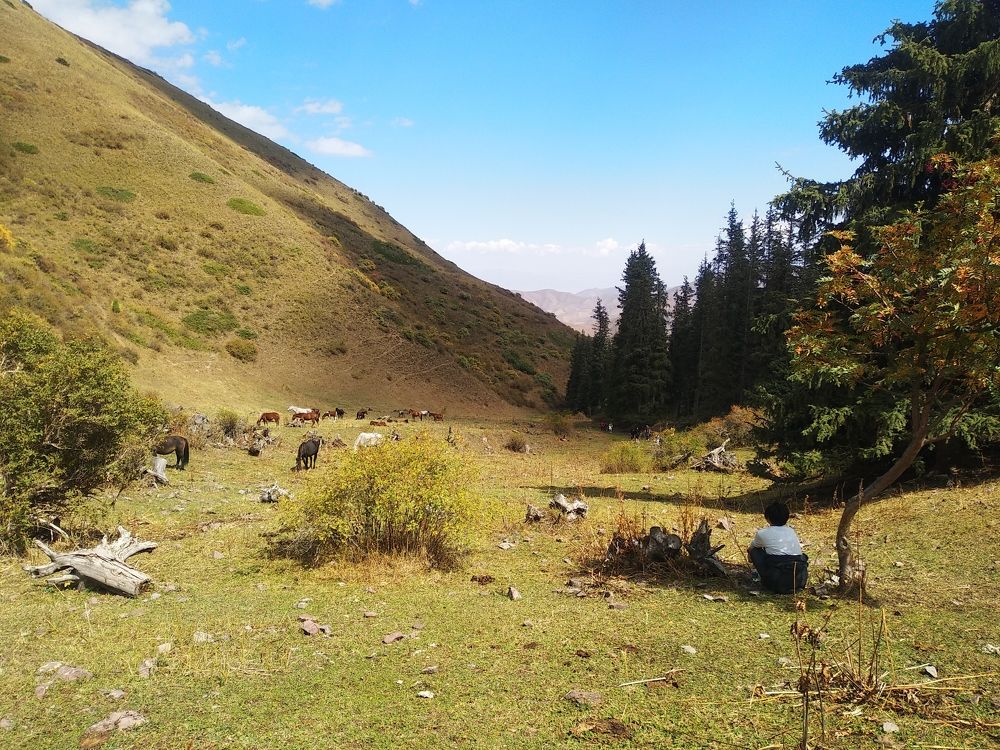 Photograph by Наиля Омарова