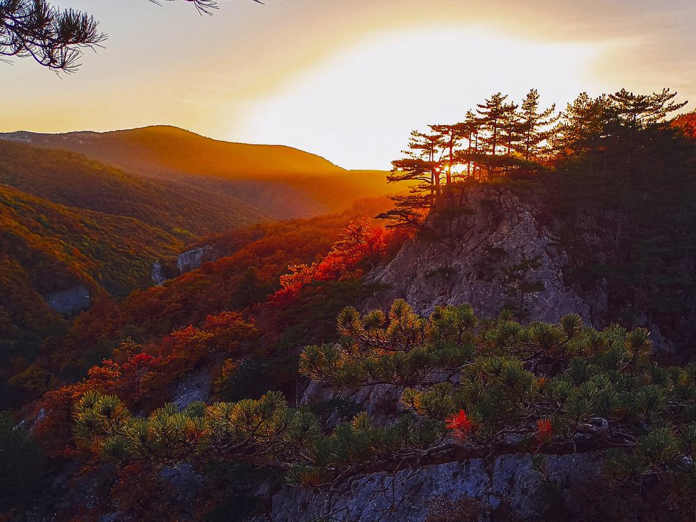 Photograph by Анна