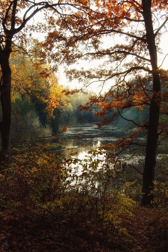 Photograph by Юлия Марфонова