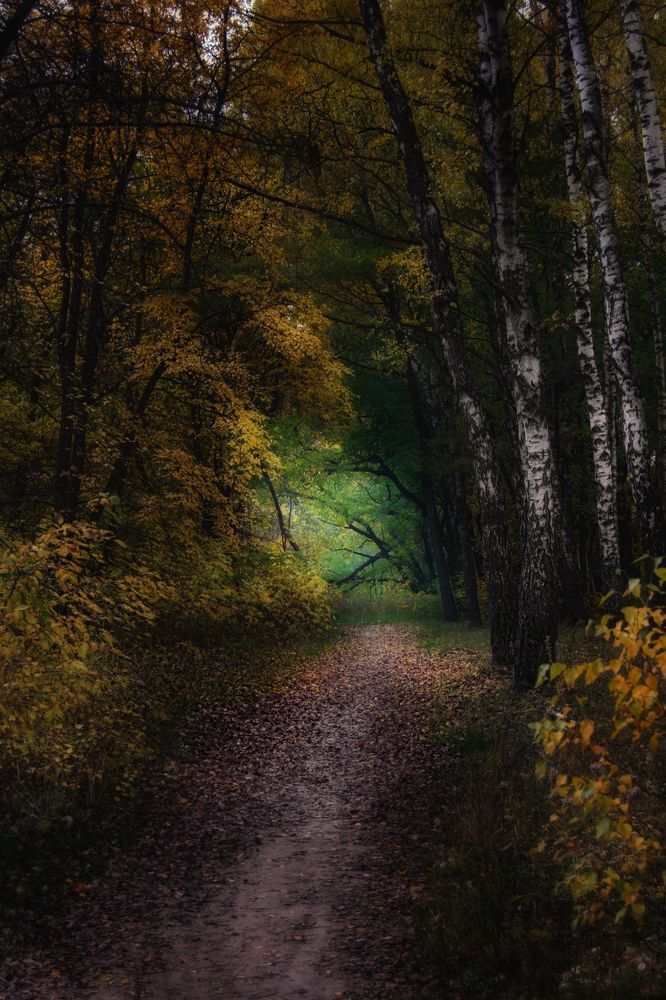 Photograph by Юлия Марфонова