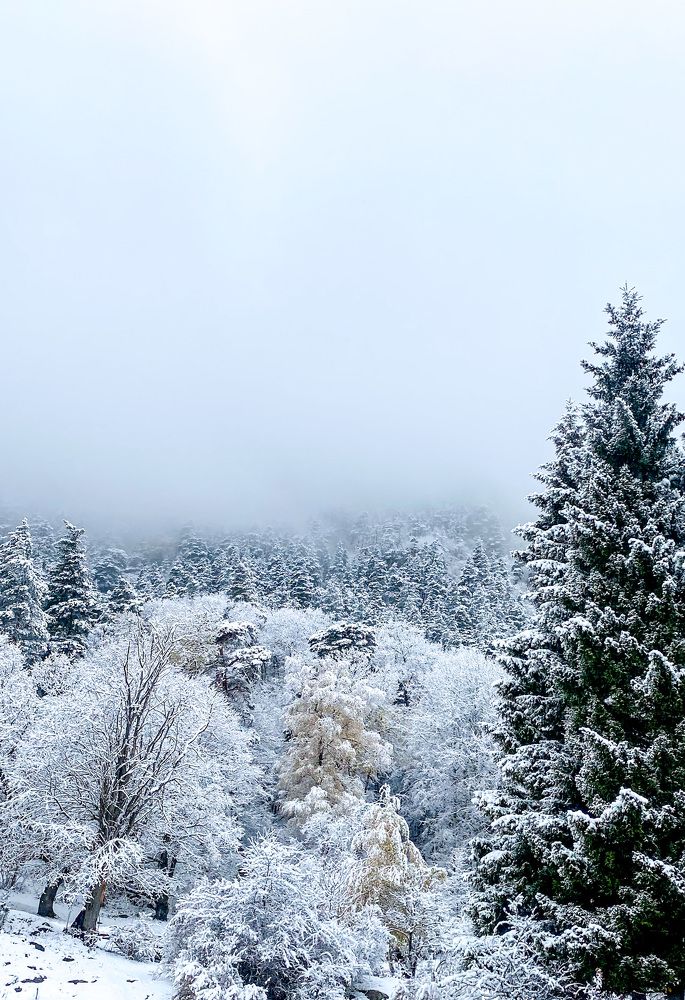 Photograph by Оленичева Оксана