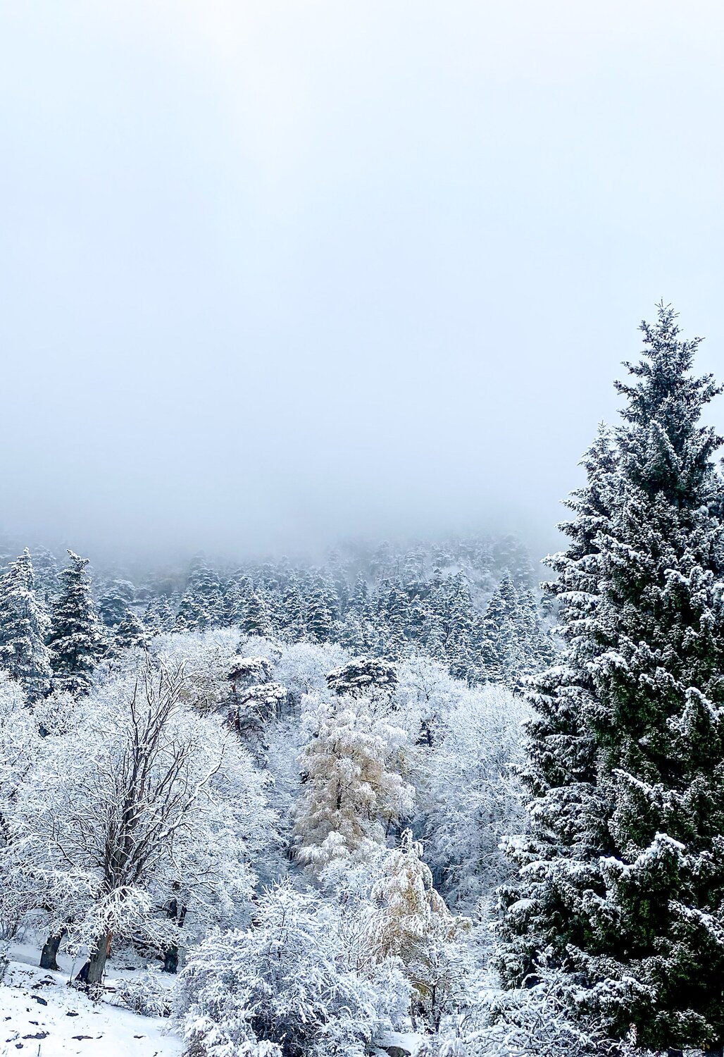 Photo #6675411