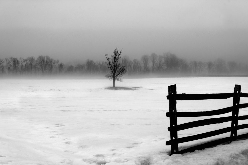 Один в поле воин