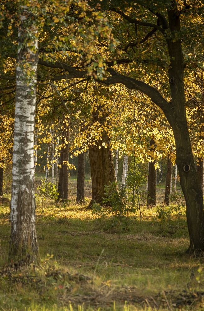 Photograph by Юлия Куликова
