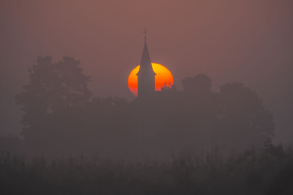 Foggy sunrise