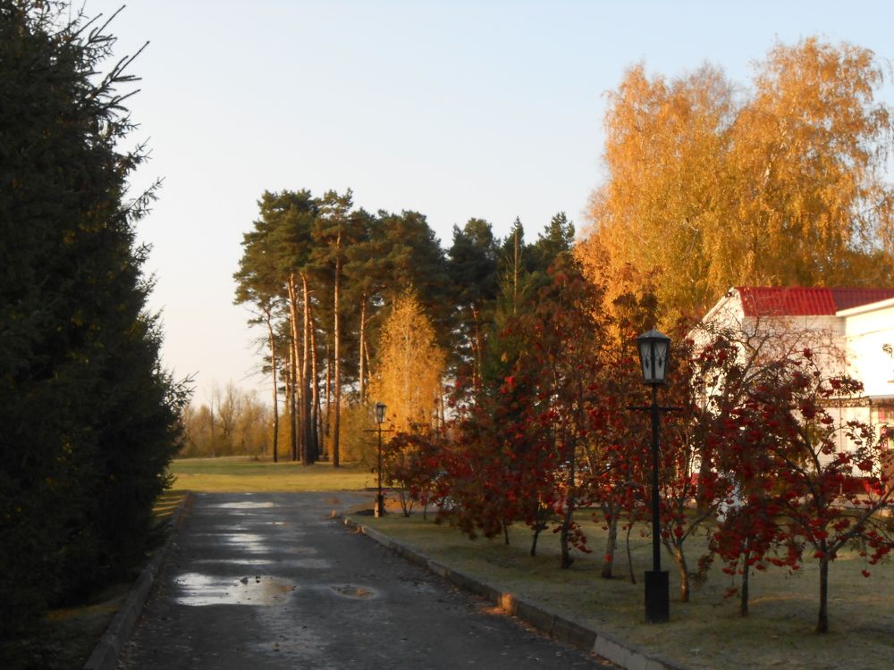 Золотая осень