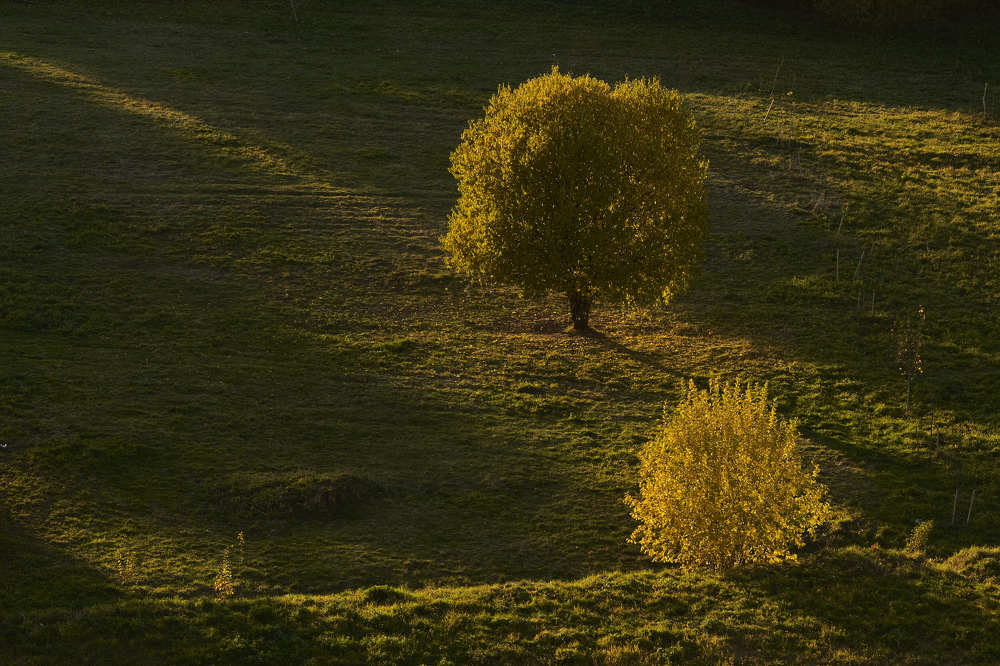Photograph by Александр