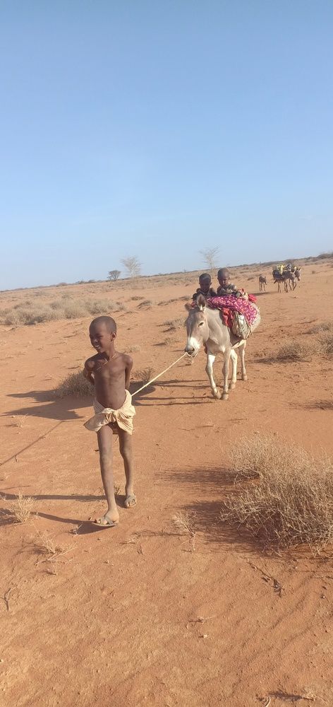 Children on a donkey