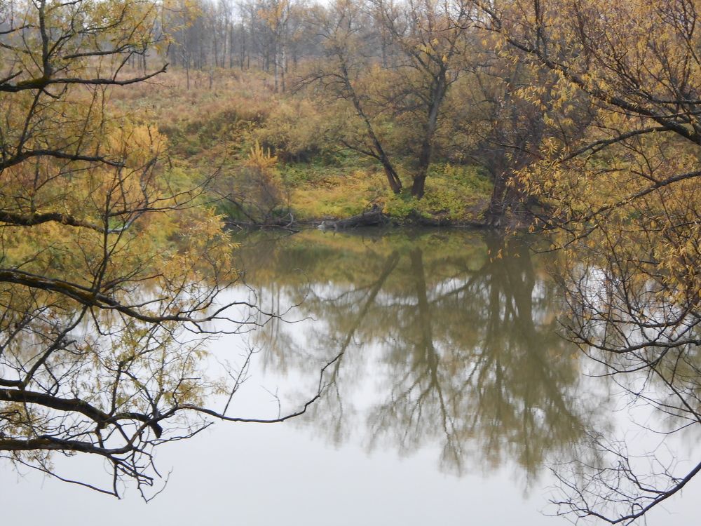 Photograph by тайна