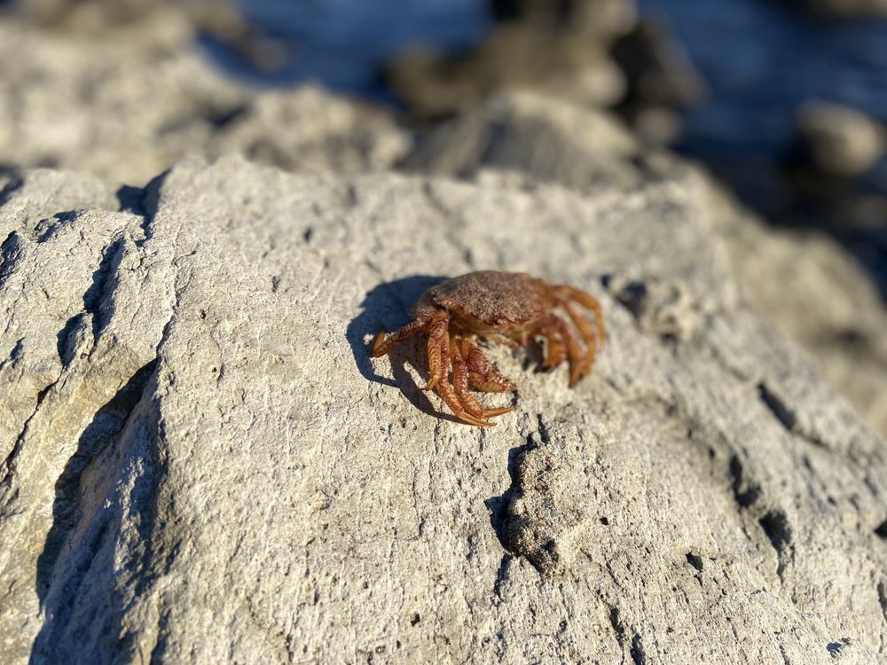 Photograph by Сергей Лысюк