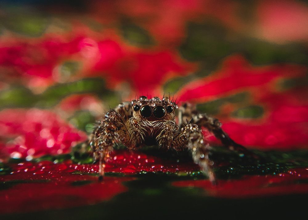 So fresh and stunning.