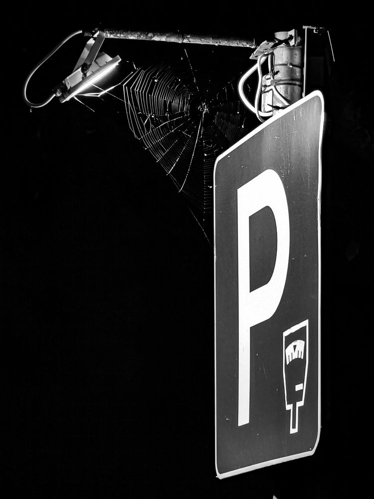 Фотография автора Дмитрий Лебедь