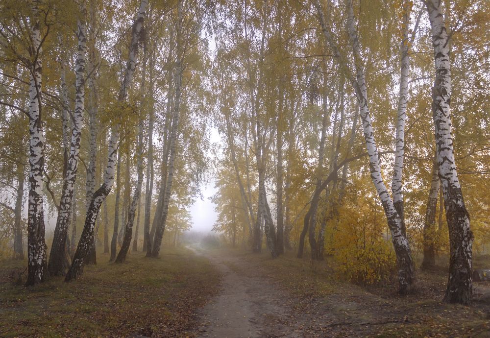 Фотография автора Ольга Бонина
