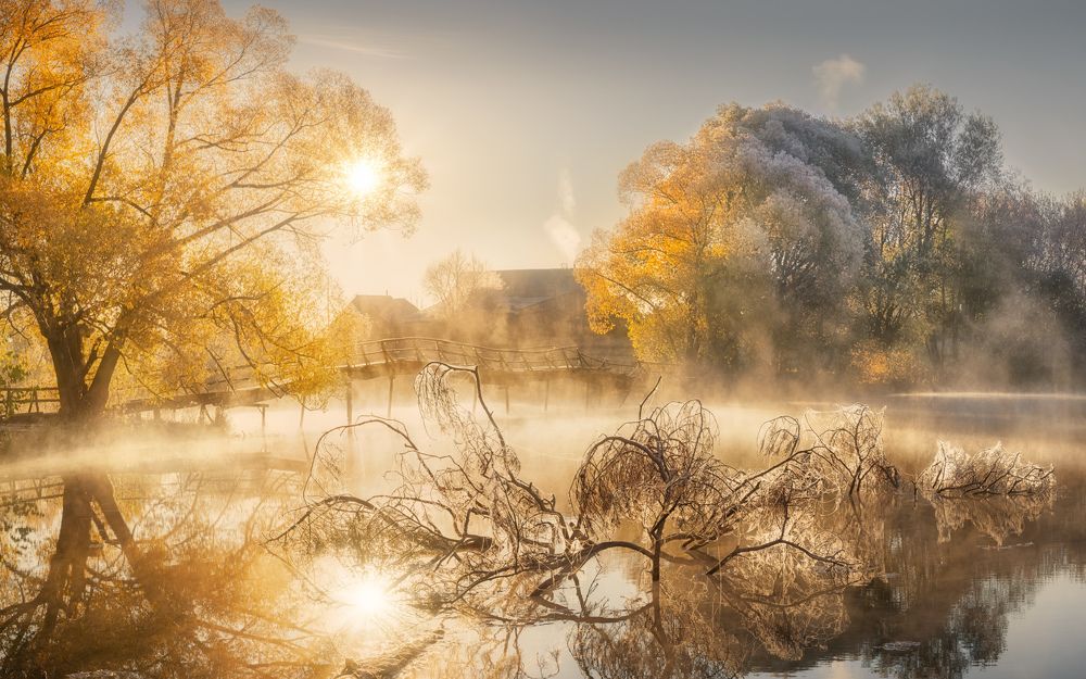 Photograph by Дмитрий Медянцев