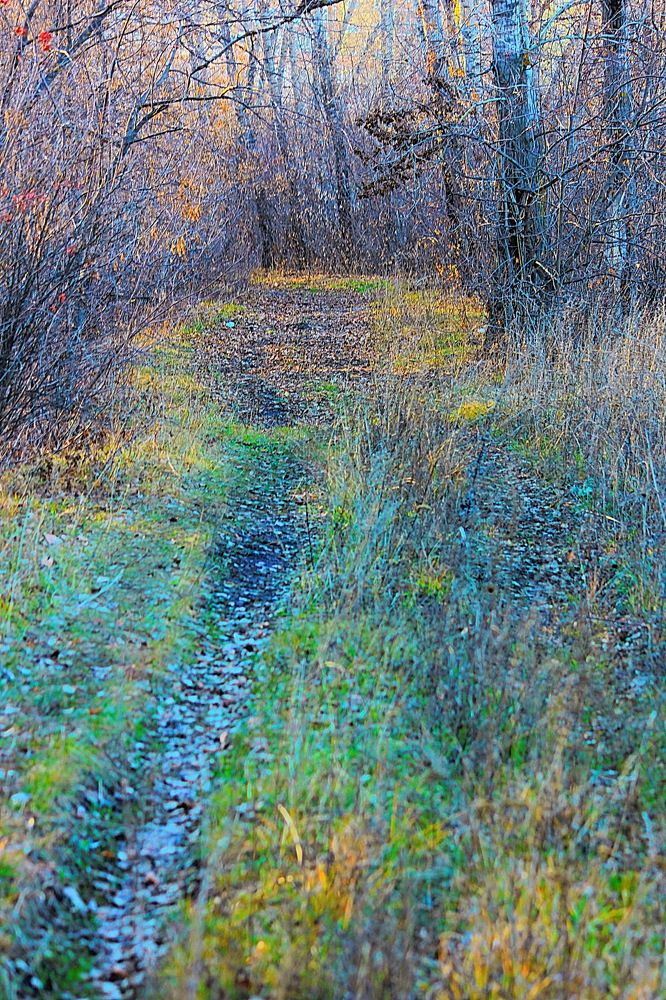 Photograph by Виктор