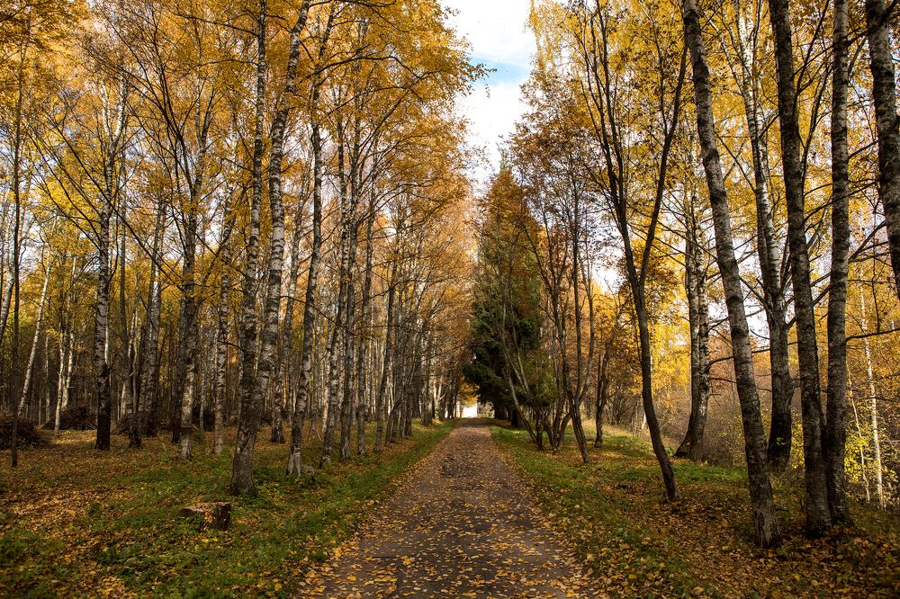 Photograph by Марина Назарова