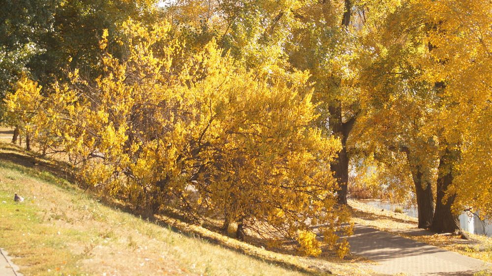 Фотография автора Наталия Привал