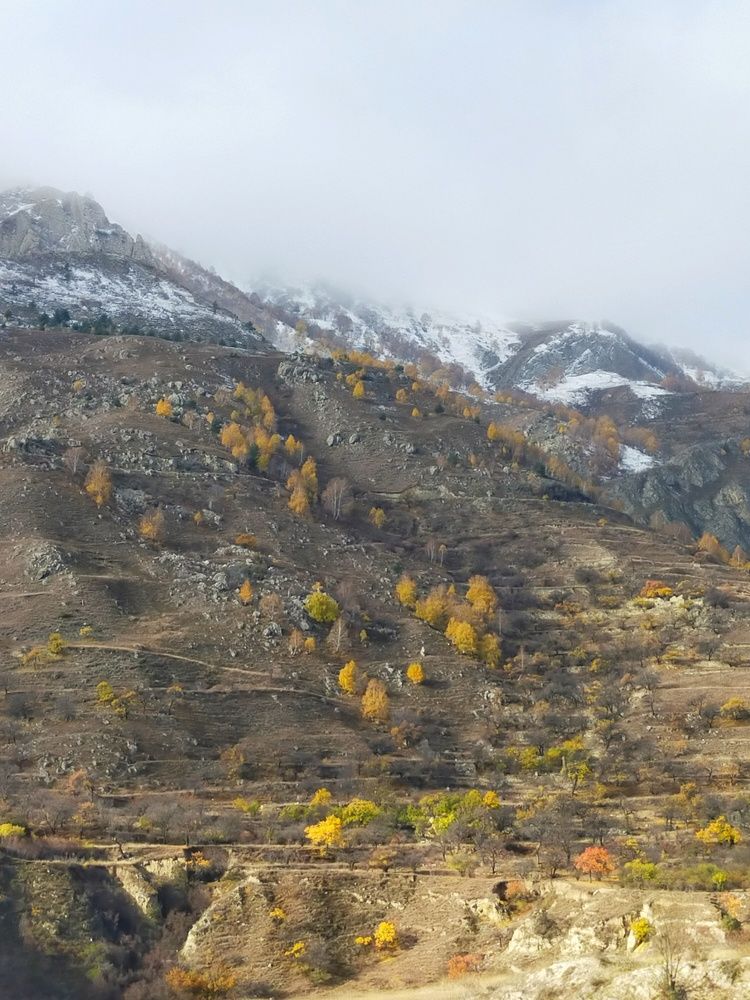 Photograph by Мария Воронцова