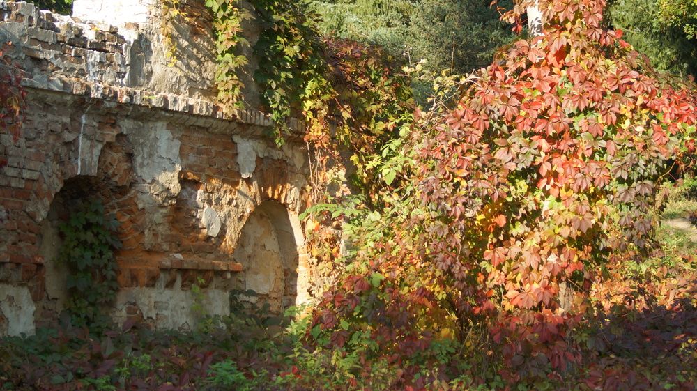 Фотография автора Наталия Привал