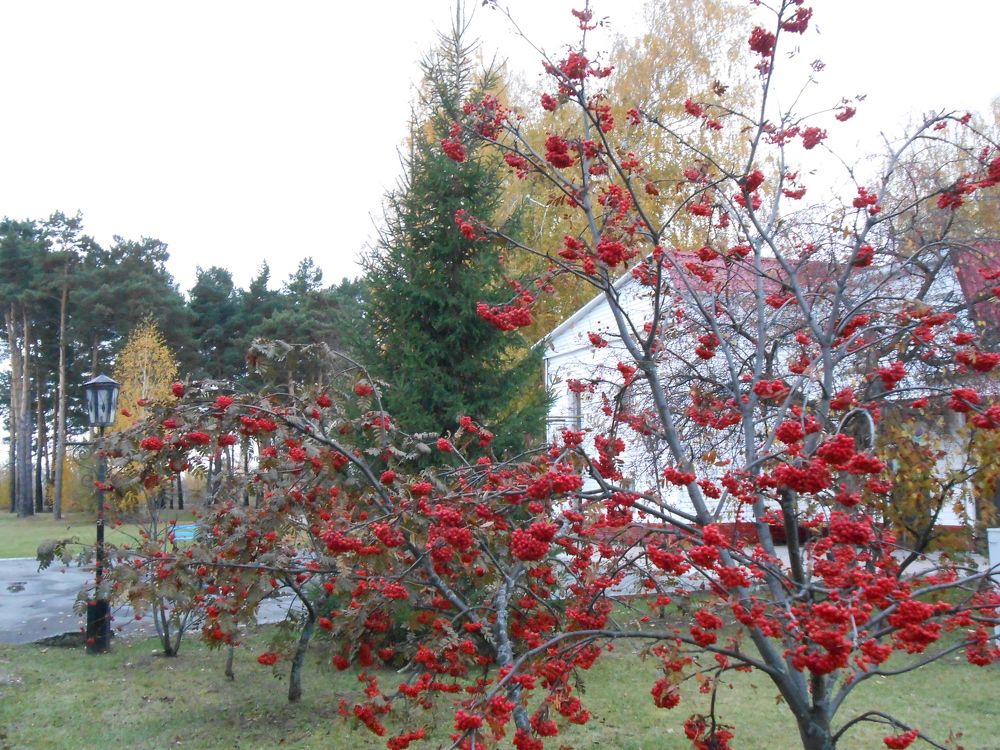 Photograph by тайна