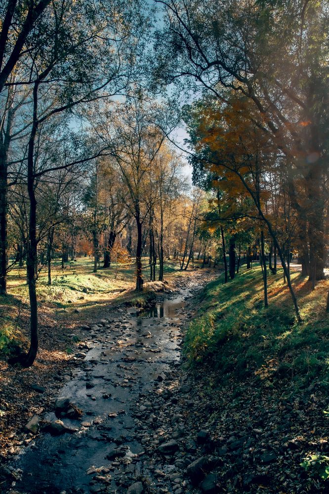 Photograph by Никита Зыков