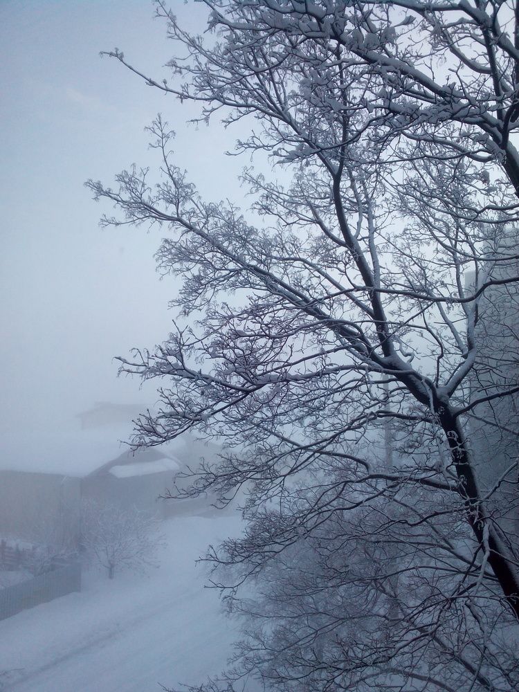 Photograph by Яна Сиволобова