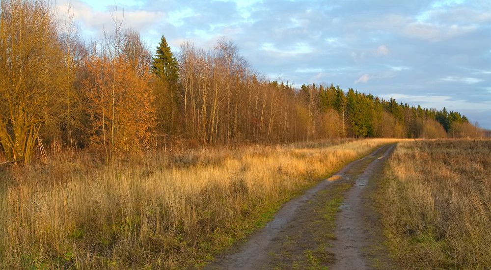 Золотой час осени