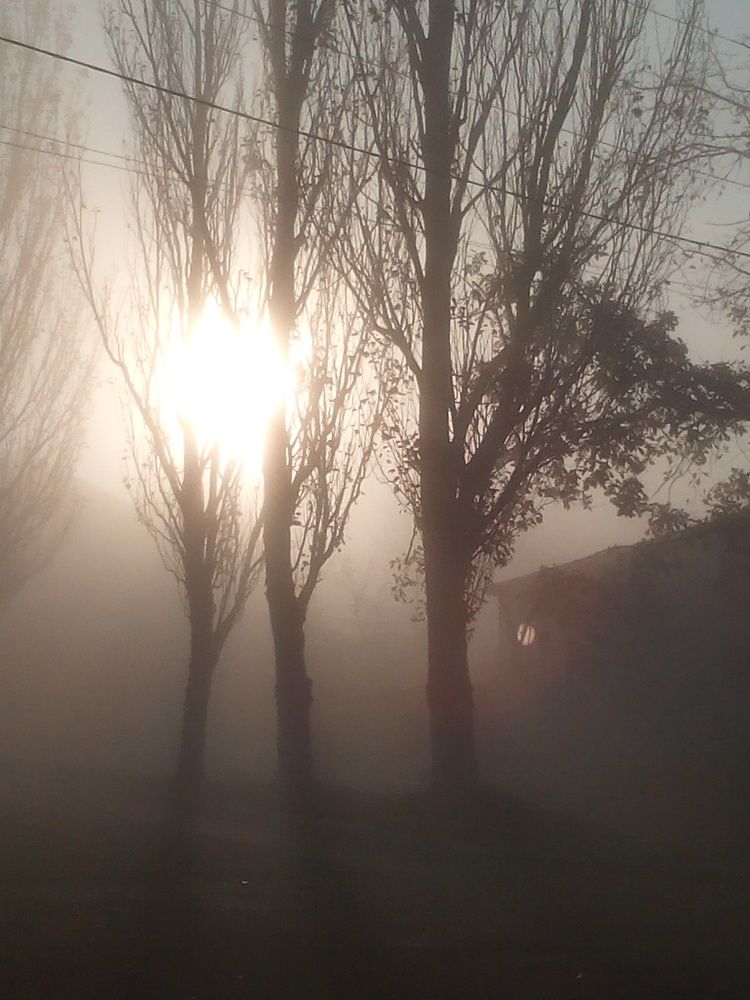 Photograph by Яна Сиволобова