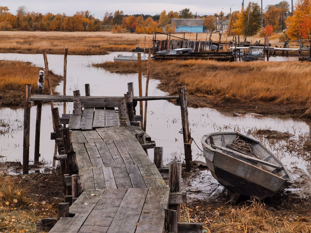 Photograph by Дарья