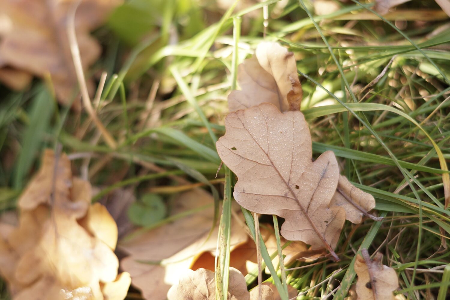 Photo #6675987