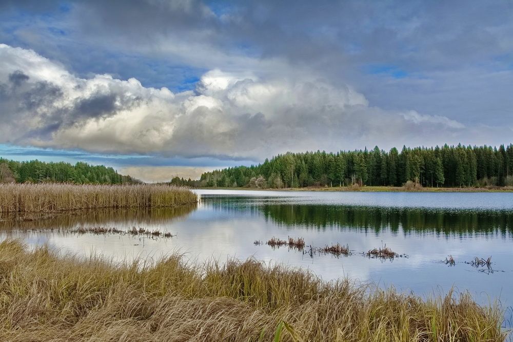 После дождя