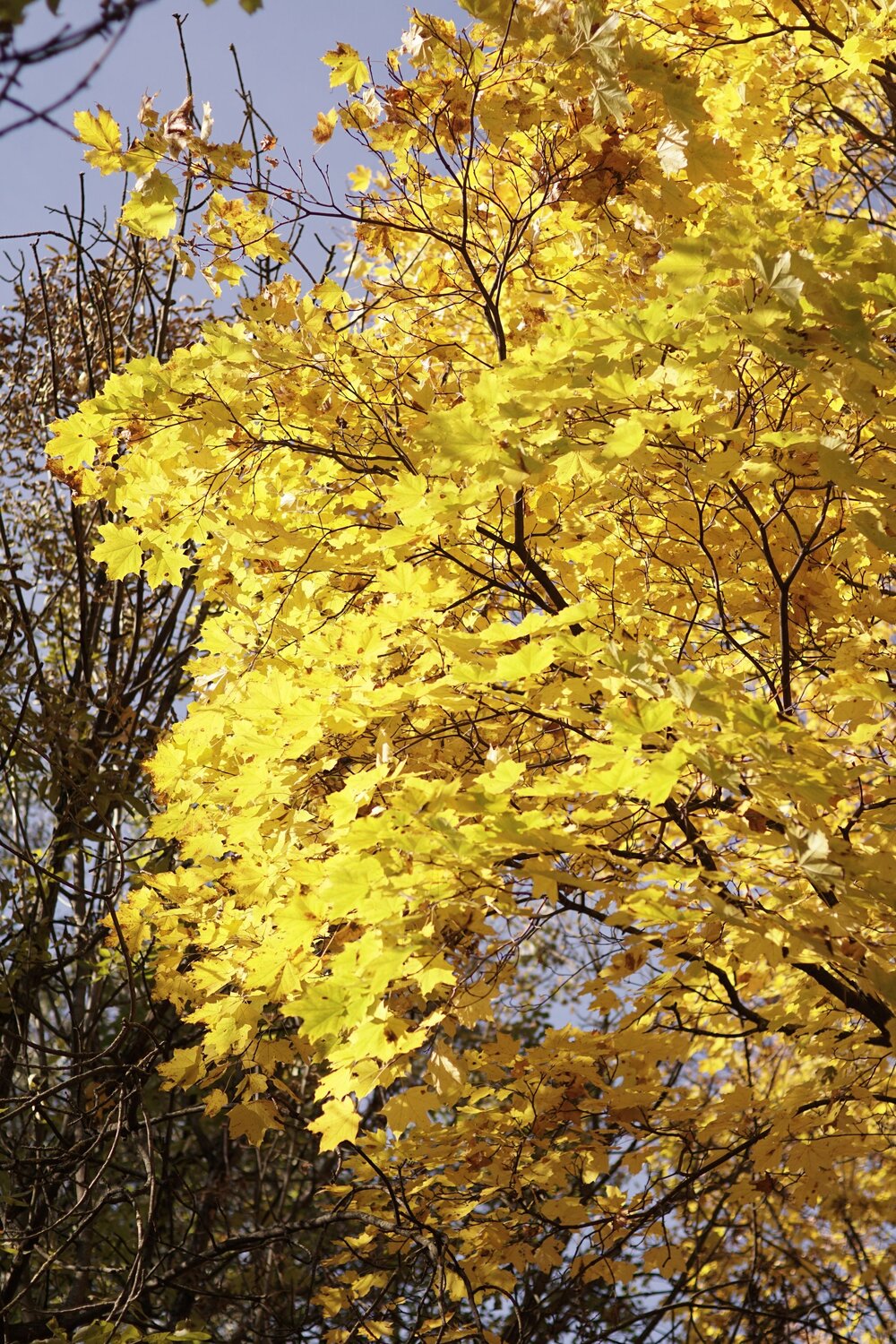 Photo #6675997