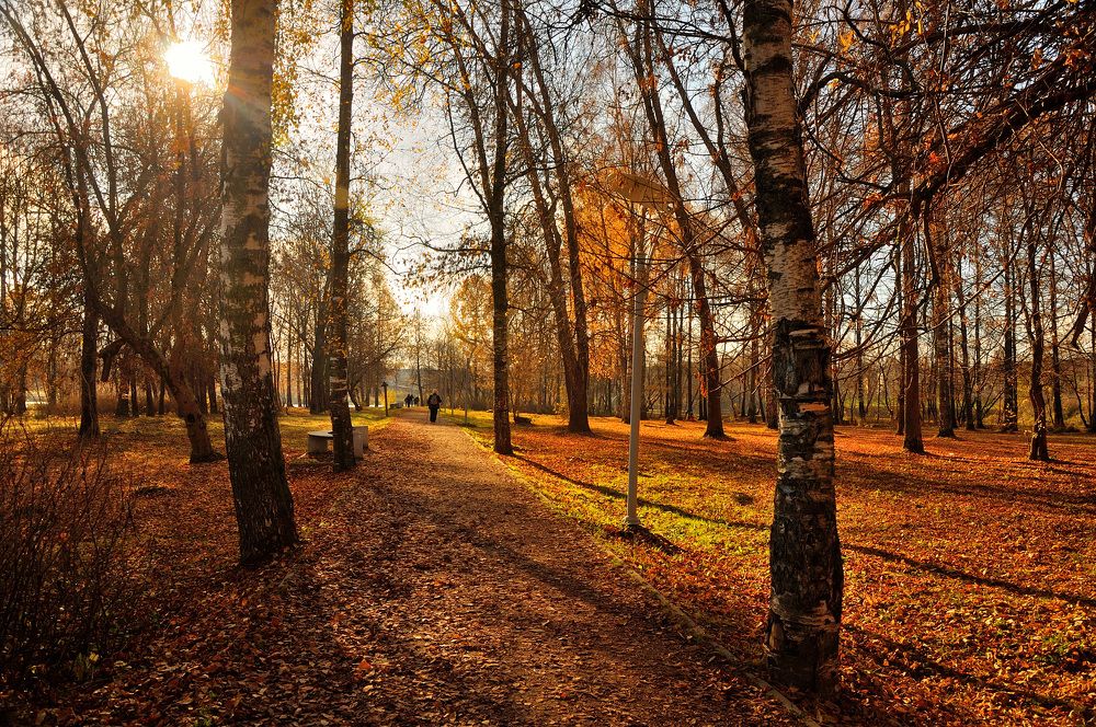 Photograph by Игорь Овсиенко