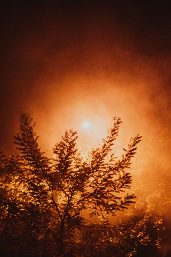 Photograph by Алёна Лихачёва