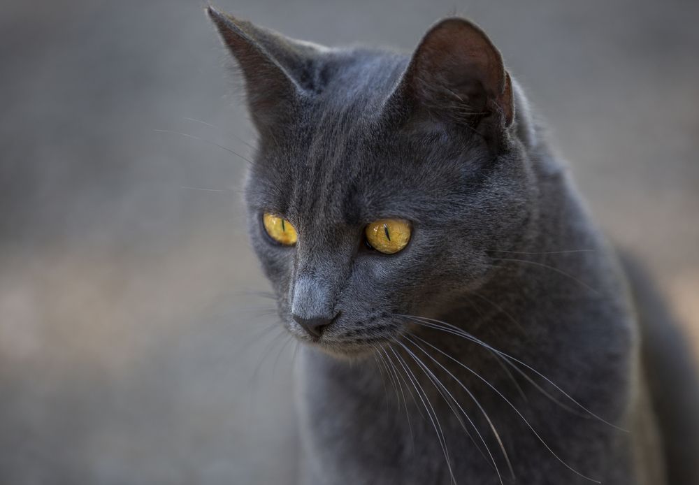 Photograph by Jasmina Ban