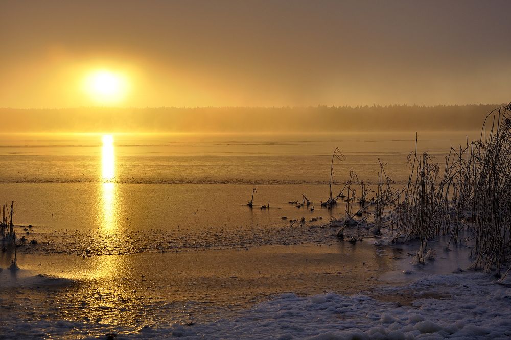 Photograph by Игорь Овсиенко