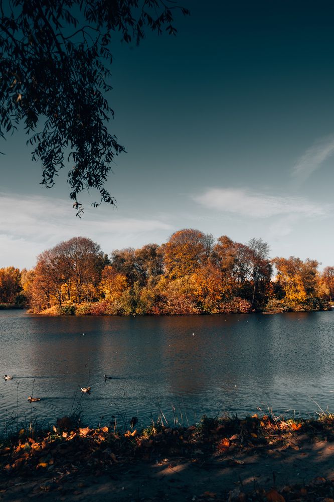 Photograph by Андрей Смирнов