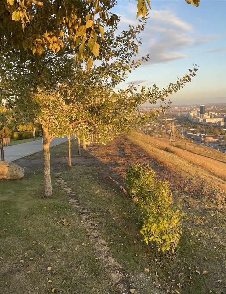 Photograph by Алексей Марков