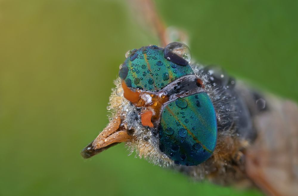 Photograph by Сергей Романченко