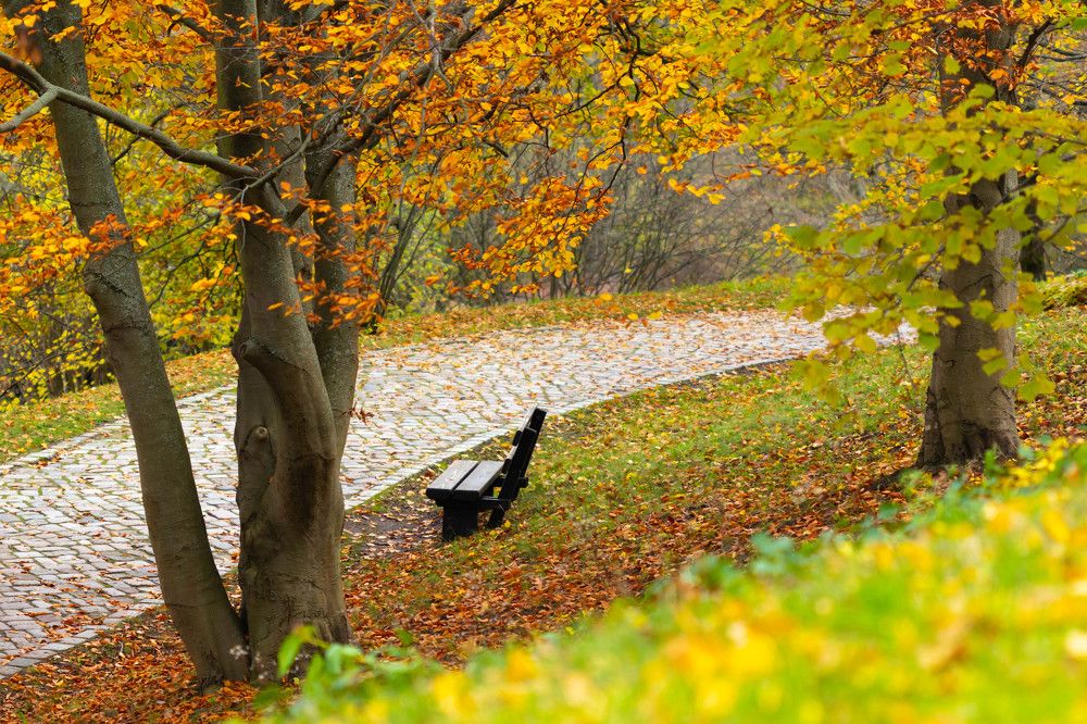 Photograph by Stanislav Zaytsev