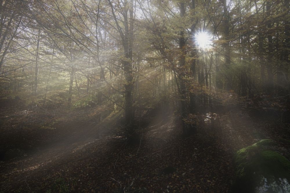 Photograph by Dino Sirica