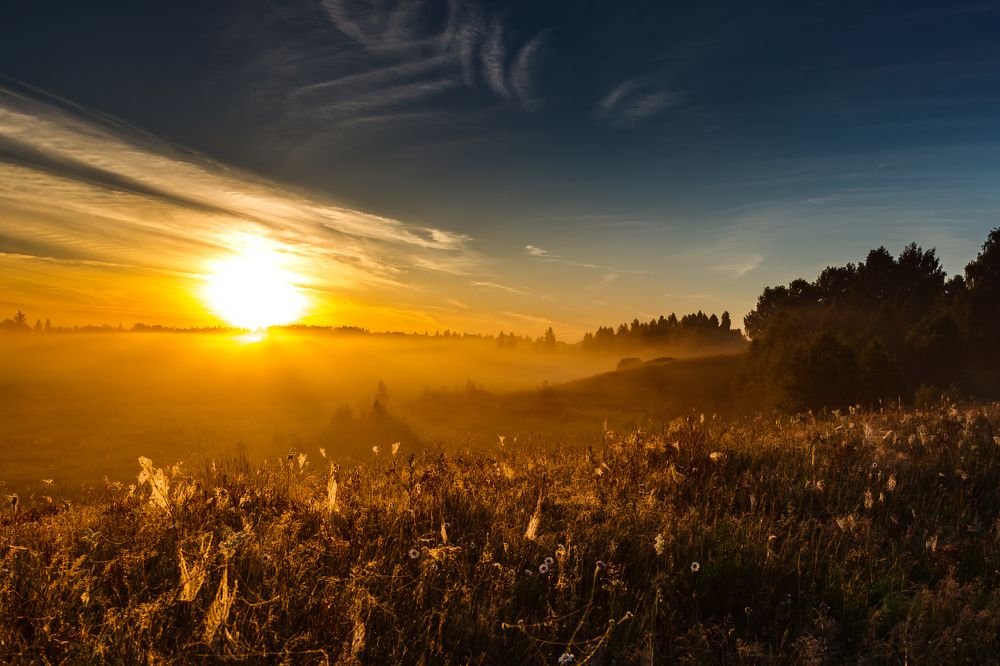 Photograph by Владимир Андреев