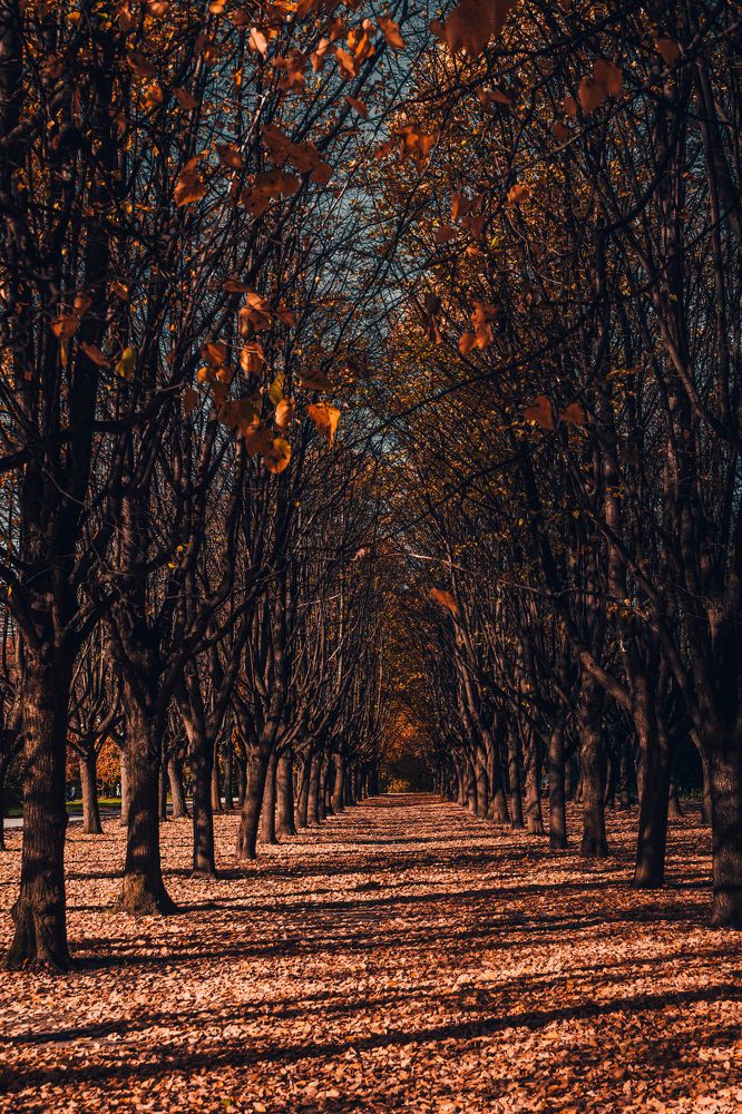 Photograph by Андрей Смирнов