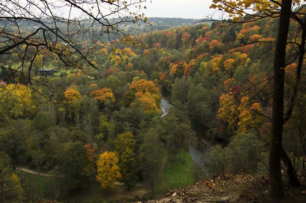 Photograph by Marina Lucenko